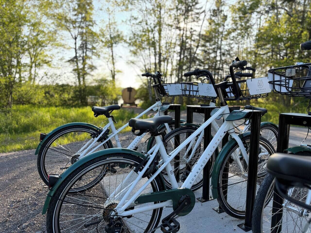 Varias bicicletas estacionadas en fila, cada una con una cesta y una etiqueta.