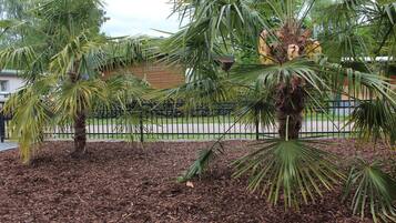 Terrein van de accommodatie