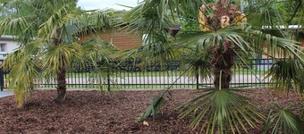 Palmocolodge Lodge - Jocomo Parc a nice family campground with many facilities