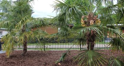 Palmocolodge Lodge - Jocomo Parc a nice family campground with many facilities