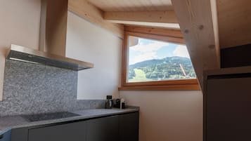 Deluxe three-room apartment (attic) | ์ ์ฉ ์ฃผ๋ฐฉ | ์ ์์ฉ ์์