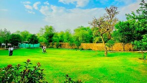 A grassy outdoor area with trees and a stone wall. -  Royal green  Spacious farmhouse with 8 bedrooms and AC, WiFi in charming Sohna (Sohna)