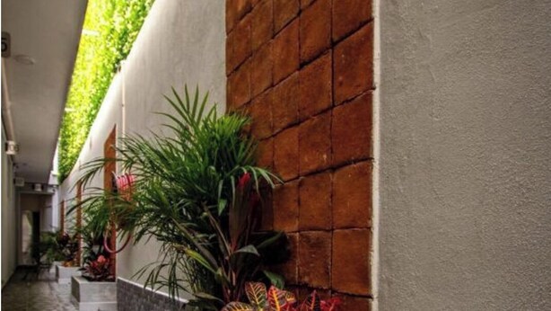 A corridor with a tiled floor, a brick wall, and a planter with various plants. - Hotel El Rincón (San Francisco del Rincón)
