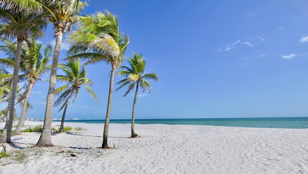 A beach with white sand and palm trees under a clear blue sky. - Ocean Oasis (Fort Myers Beach)