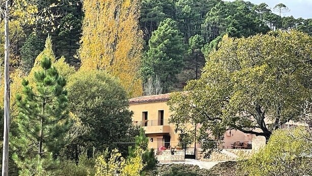 Un bâtiment entouré d’arbres et de végétation.
