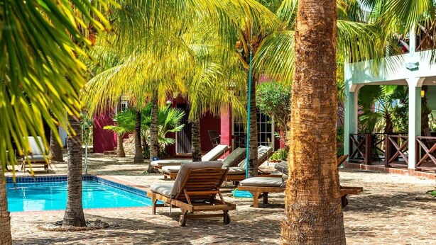 Un espace aménagé au bord de la piscine, avec des chaises longues, des palmiers et une piscine à l’eau d’un bleu limpide.