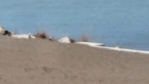 A beach with a white building in the distance.