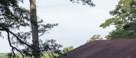 Una cabaña con terraza de madera y porche cubierto, rodeada de un bosque denso.