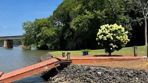 Un parc au bord de la rivière, avec un pont en bois, un grand arbre aux fleurs jaunes et un sentier pavé de pierres.