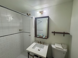 Sèche-cheveux, serviettes fournies, savon, papier toilette