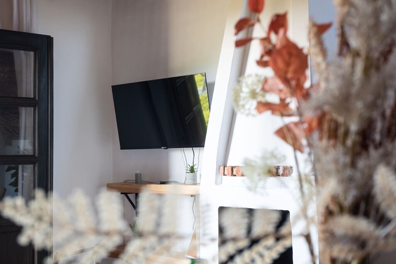 Habitación con televisor de pantalla plana sobre un soporte de madera, una planta pequeña sobre el soporte y una ventana con cortinas.