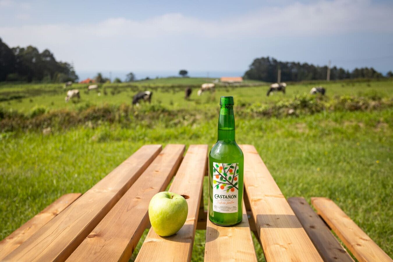 Una mesa de madera con una botella de vino GASTANON y una manzana.