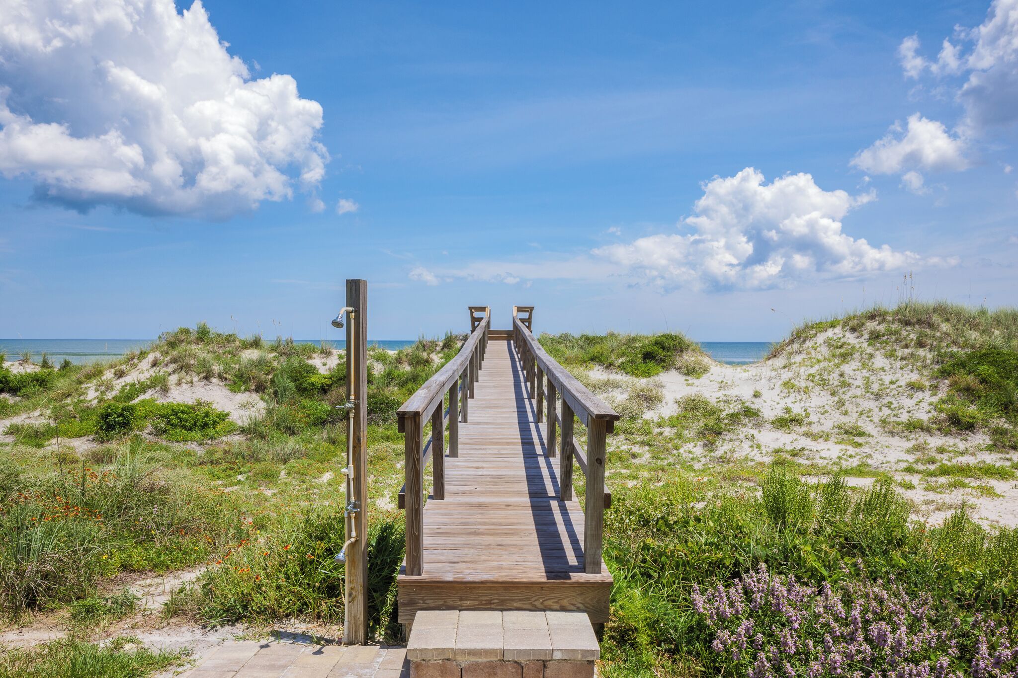 Una passerella di legno che conduce a una spiaggia con dune e vegetazione.
