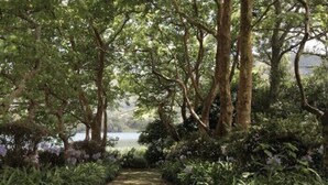 A pathway through a lush garden with dense foliage and trees.