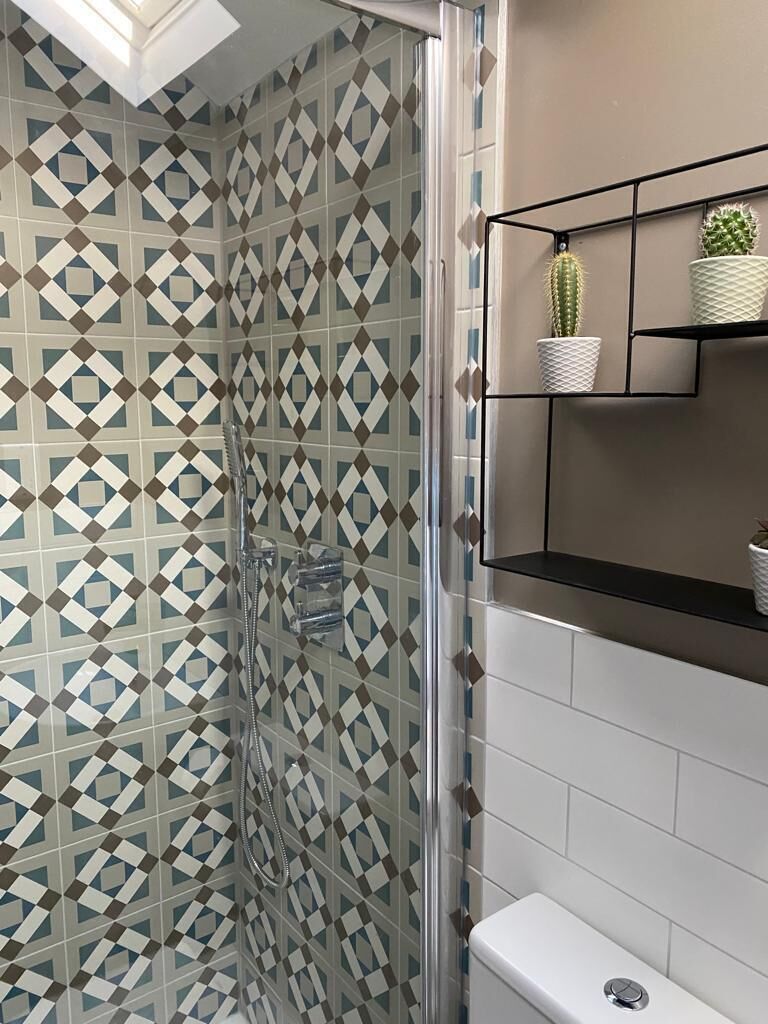 A bathroom with a geometric patterned tile wall, a glass shower enclosure, a white toilet, and a shelf with two potted plants.