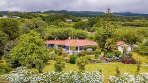 Une maison entourée d’une végétation luxuriante et de fleurs blanches, avec un toit rouge et un petit porche.