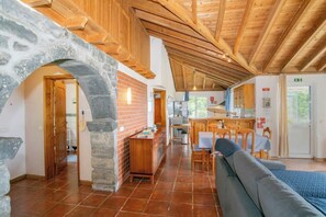 Televisión, chimenea y tenis de mesa 