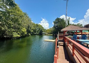 Outdoor dining - Weeki Wachee Crystal blue Springs river house with Kayaks (Spring Hill)