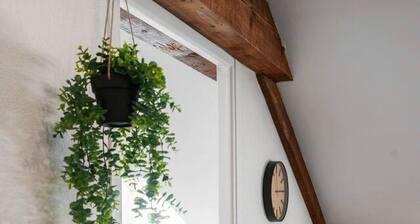 Le Mont Provence - 1 rue Provence - Vichy