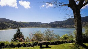 A lakeside view with a stone bench, lush greenery, and a clear sky.