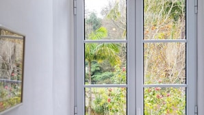A window with multiple panes, each offering a view of a garden with various plants and trees.