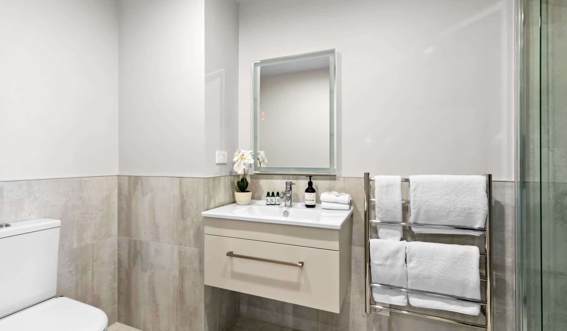 Shower, hair dryer, towels