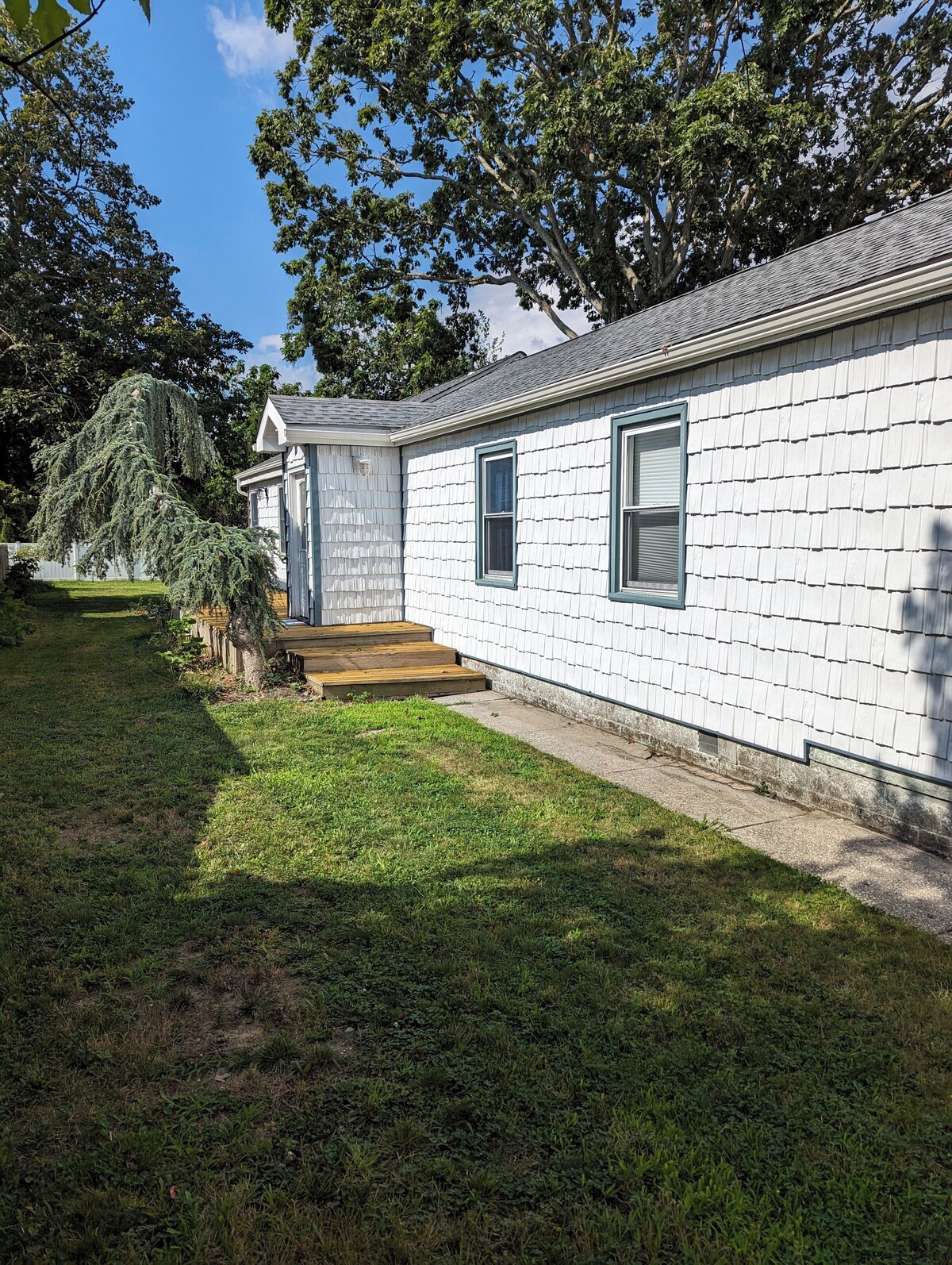 Imagen de perfil del propietario o de la propietaria