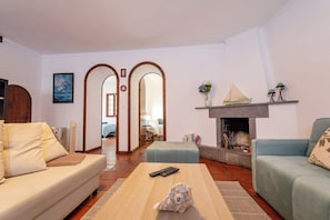 TV, fireplace