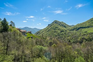 A mountainous landscape with a house on a hill, surrounded by trees and greenery. - Balcone Di Alex & Thomas, Val Rezzo, Italy (Val Rezzo)