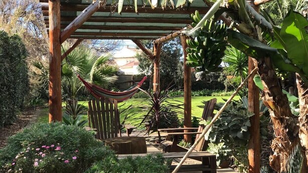 A wooden deck with a hammock, surrounded by lush greenery and a pergola structure.