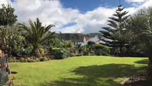 A well-maintained garden with various plants and a clear sky.