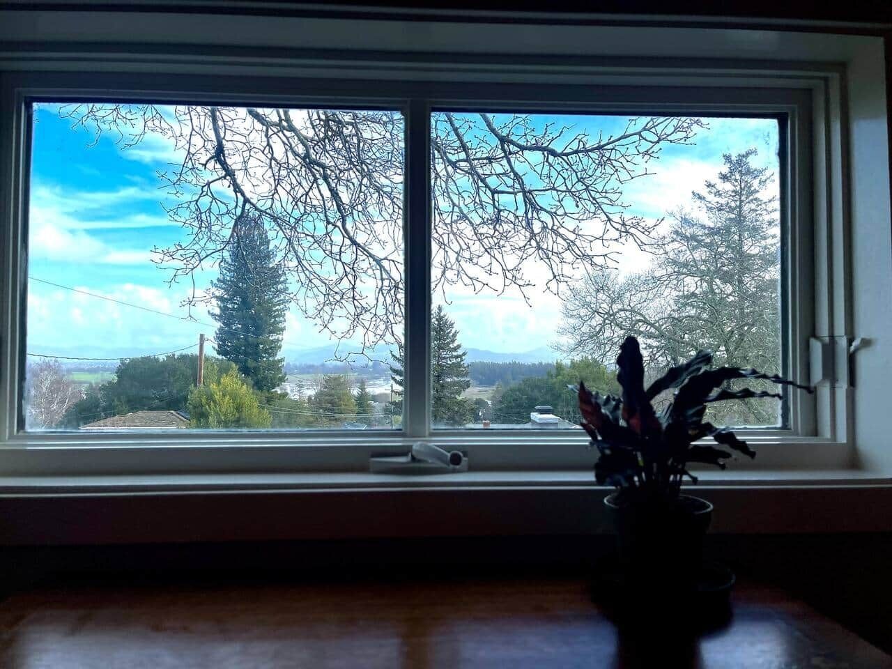 Une fenêtre donnant sur un arbre et des montagnes.
