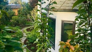 Une maison moderne avec une façade blanche, un toit en pente et un jardin agrémenté de diverses plantes et d’un chemin en pierre.