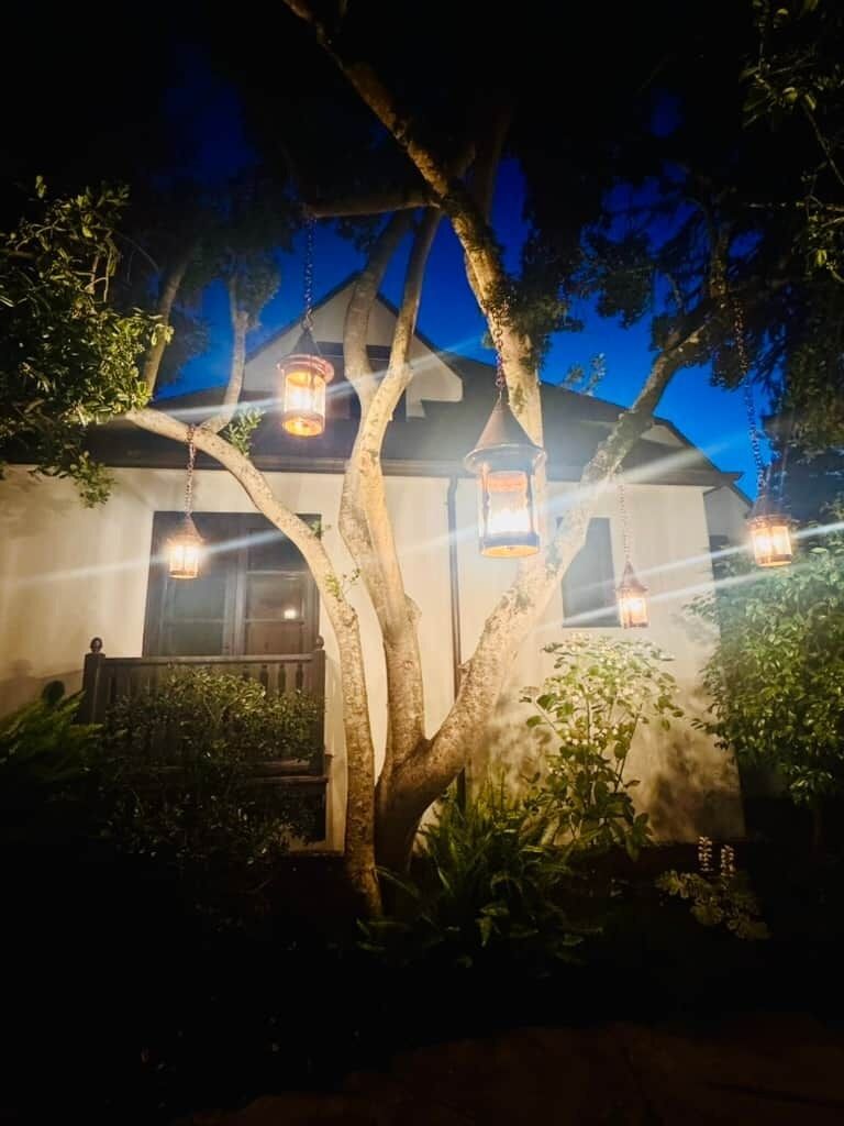 A tree with hanging lanterns in front of a building at night.