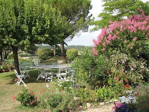 Ein Garten mit Tisch und Stühlen, umgeben von verschiedenen Pflanzen und Blumen.