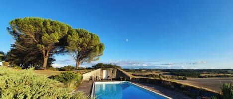 Ein Pool mit Holzterrasse, umgeben von Grünpflanzen und einer Steinmauer.