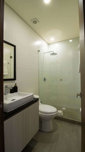 Shower, hair dryer