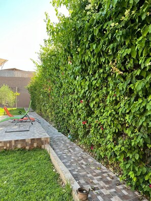 Terrazza/patio