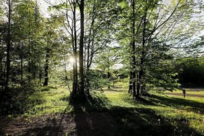 Miscelánea