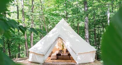 Palm Glamping Nordic Spa Access Near Grotto