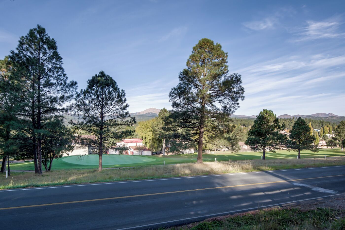 A road with a green field and trees on the side.