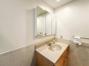 Shower, hair dryer, shampoo