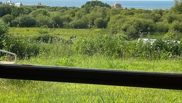 A view from inside a building looking out to a grassy field with trees and a distant body of water.