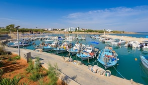 A marina with numerous boats docked, a sandy beach, and buildings in the background.