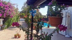 A covered outdoor area with a pool, surrounded by potted plants and flowers. - Villa Penelope in Protaras (Paralimni)