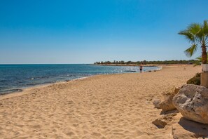 Ein sandiger Strand mit einer Palme und Felsen, ein klarer, blauer Himmel und eine entfernte Küstenlinie.