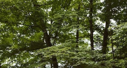 Fox Den|Sauna|BBQ|LakeAccess|PrivateBeach|Firepit