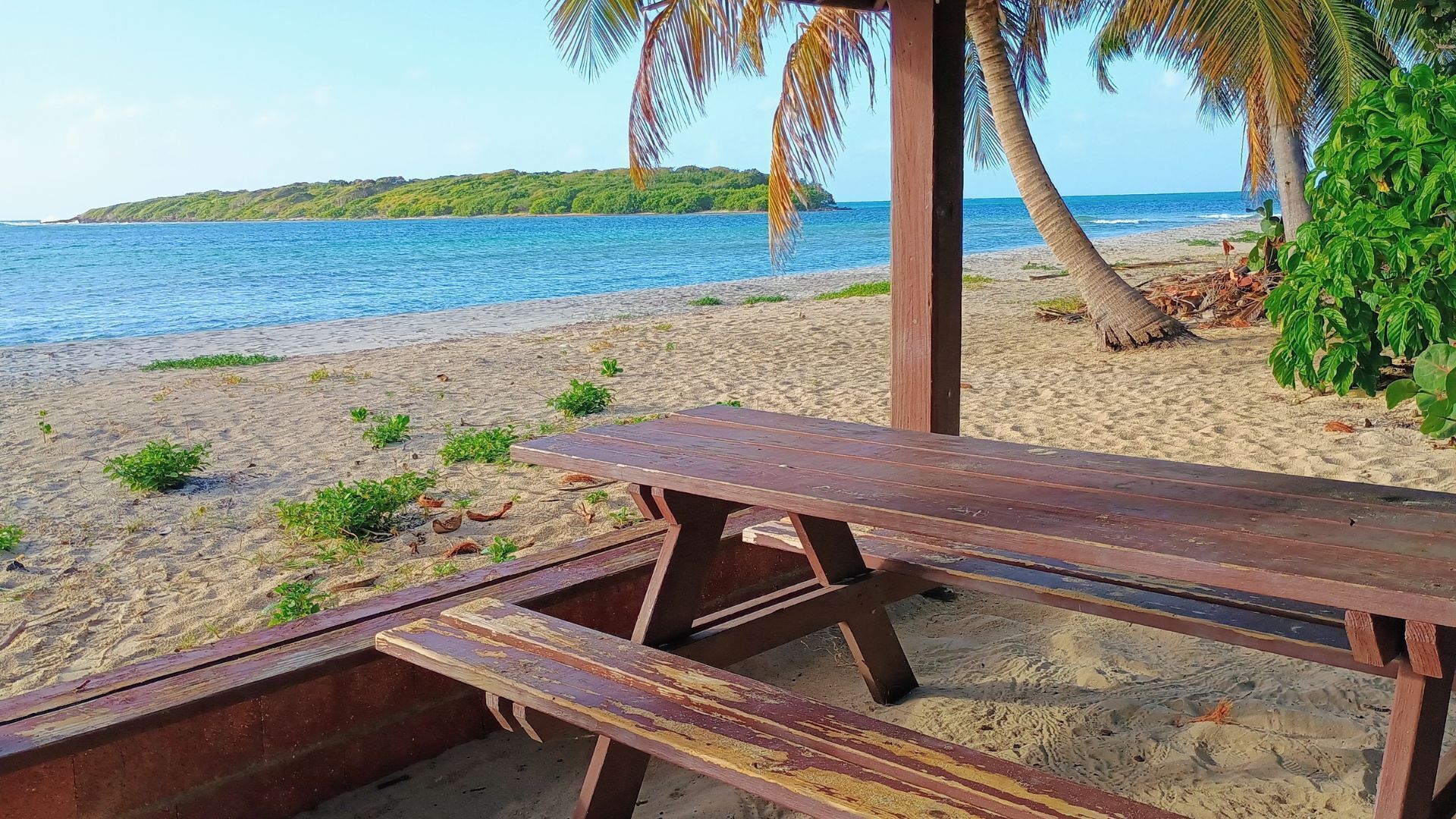 Sun-loungers, beach towels