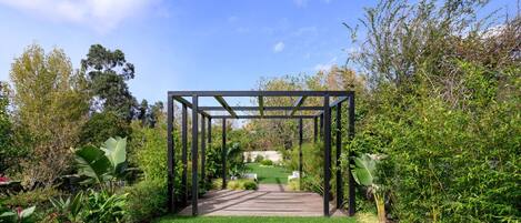 المنطقة المحيطة بالمنشأة