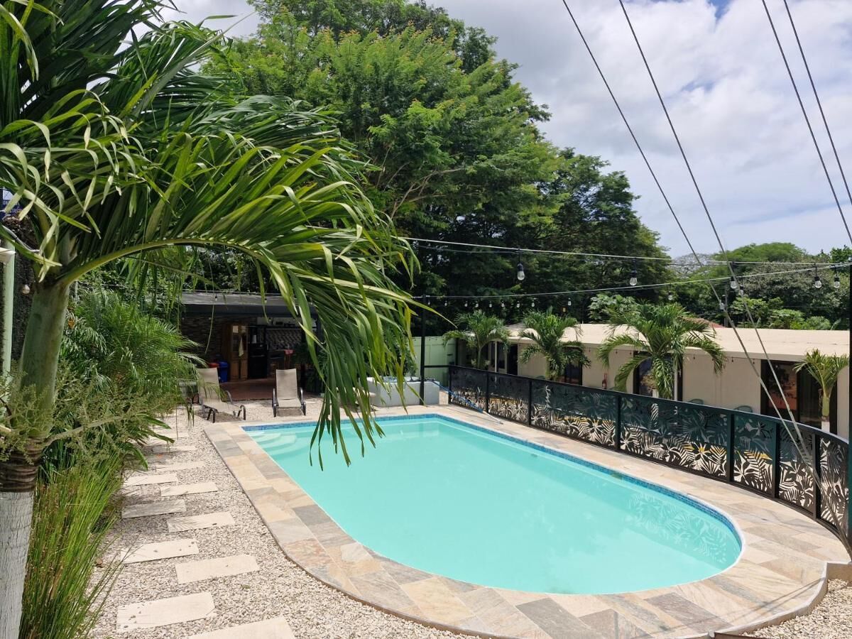 A rectangular swimming pool with a tiled deck, surrounded by a decorative fence and palm trees.